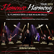 Flamenco Harmony