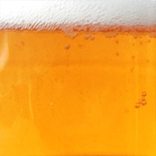 Fiesta de la cerveza