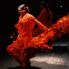 Flamenco Barcelona City Hall