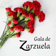Gala de Zarzuela - Coro Tal&iacute;a