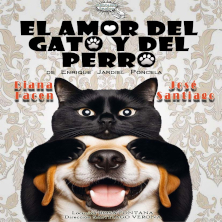 El amor del gato y el perro