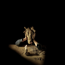 Geolog&iacute;a de una F&aacute;bula