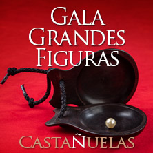 Festival internacional de casta&ntilde;uelas