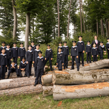 Ni&ntilde;os cantores de Viena