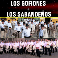 Los Gofiones y Los Sabande&ntilde;os