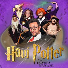 Havi Potter y la parodia musical
