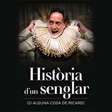 Hist&ograve;ria d'un senglar