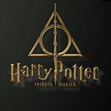 Harry Potter, Tributo m&aacute;gico