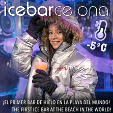 The Ice Bar Experience