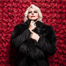 Ir&eacute;ne Theorin