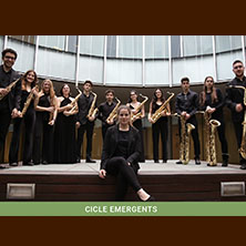 L&rsquo;Ensemble de Sax&ograve;fons