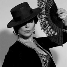 La ra&iacute;z de mis zapatos