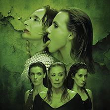 Las amargas l&aacute;grimas de Petra Von Kant