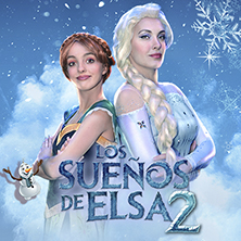 Los sue&ntilde;os de Elsa 2