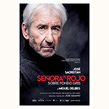 La se&ntilde;ora de rojo sobre fondo gris