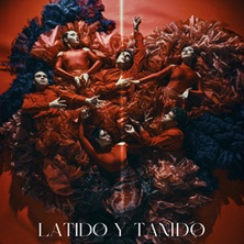 Latido y ta&ntilde;ido
