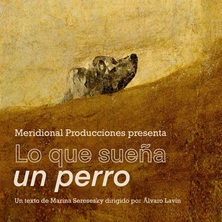 Lo que sue&ntilde;a un perro