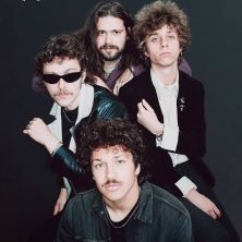 Los Galgos