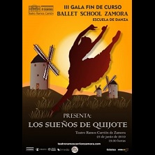 Los sue&ntilde;os de Quijote