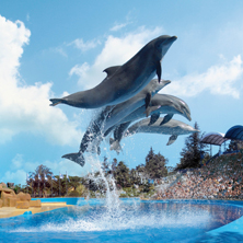MARINELAND CATALU&Ntilde;A