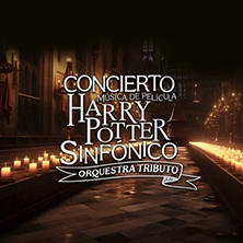 M&uacute;sica de Pel&iacute;cula Harry Potter