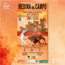 Medina del Campo