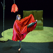 Cu&aacute;l es mi nombre...?