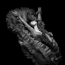 Las carnes del pensamiento