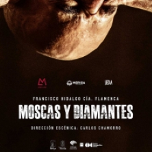 Moscas y Diamantes