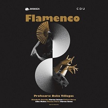 Muestra de Flamenco
