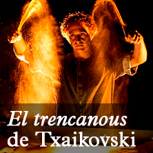 El Cascanueces - Tchaikovsky - Orquestra Simf&ograve;nica del Vall&egrave;