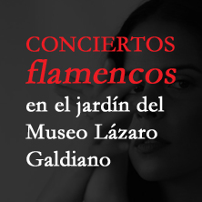 Noches flamencas en el jard&iacute;n del Museo