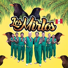 Los Mirlos