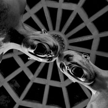 Praise & one to another