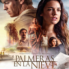 Palmeras en la nieve