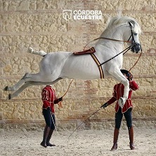 Pasi&oacute;n y Duende del Caballo Andaluz