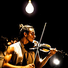 Quan els ocells prenen el vol