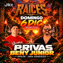 RA&Iacute;CES P.RIVAS