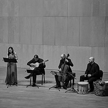 Collegium Musicum Madrid