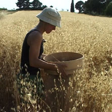 Soldats an&oacute;nims