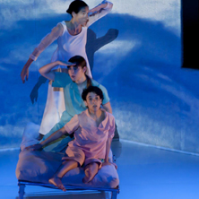 La vida de los salmones