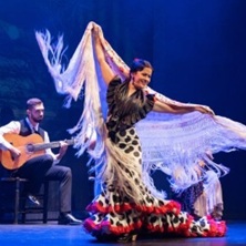 Show Flamenco