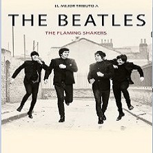 The Beatles the flaming shakers