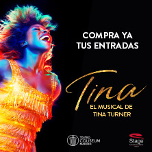 TINA, el musical de Tina Turner