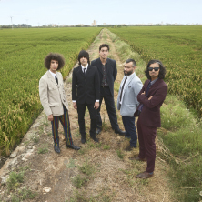 The Liquorice Experiment