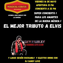 Tributo a Elvis