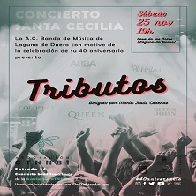 A.C. Banda de M&uacute;sica Laguna de Duero