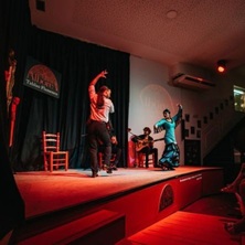 Espect&aacute;culo Flamenco en La Albore&aacute;