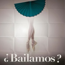 Funci&oacute;n de taller profesional