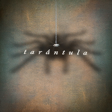 Tar&aacute;ntula
